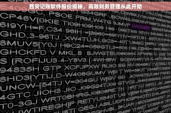西安记账软件报价揭秘，高效财务管理从此开始