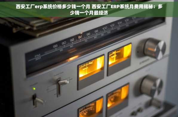 西安工厂erp系统价格多少钱一个月 西安工厂ERP系统月费用揭秘：多少钱一个月最经济
