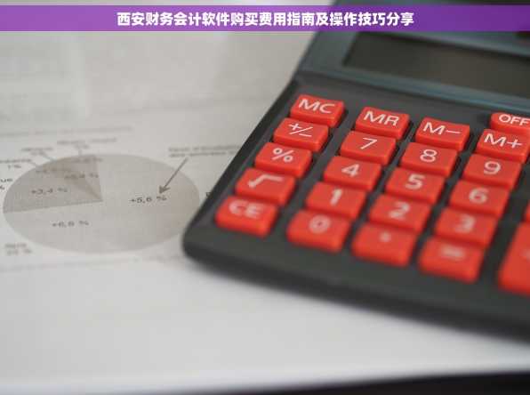 西安财务会计软件购买费用指南及操作技巧分享