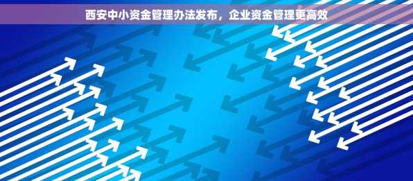 西安中小资金管理办法发布，企业资金管理更高效