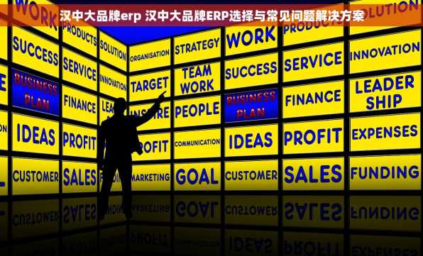 汉中大品牌erp 汉中大品牌ERP选择与常见问题解决方案