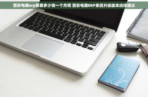 西安电商erp需要多少钱一个月呢 西安电商ERP系统升级版本选择建议