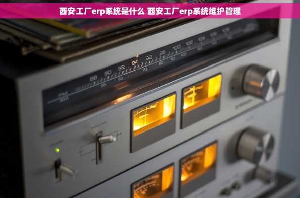 西安工厂erp系统是什么 西安工厂erp系统维护管理