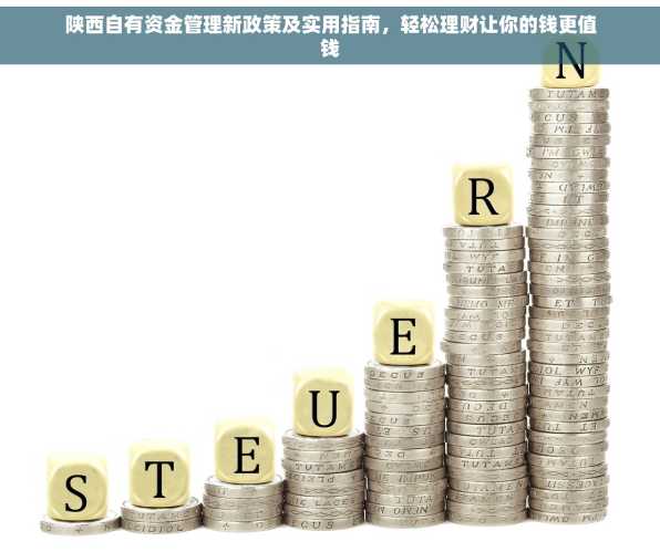 陕西自有资金管理新政策及实用指南，轻松理财让你的钱更值钱