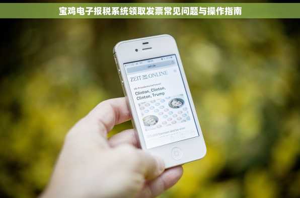 宝鸡电子报税系统领取发票常见问题与操作指南
