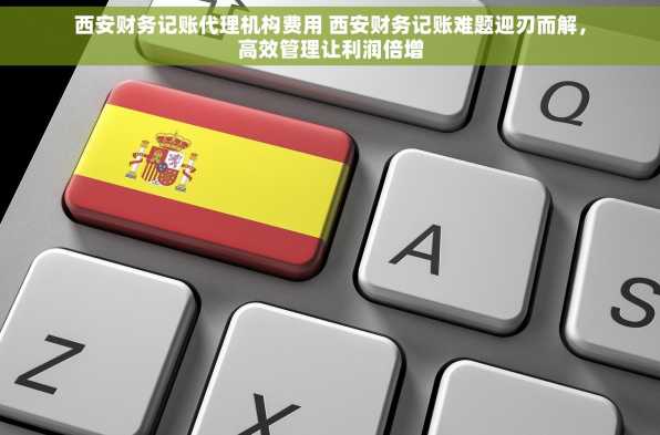 西安财务记账代理机构费用 西安财务记账难题迎刃而解，高效管理让利润倍增