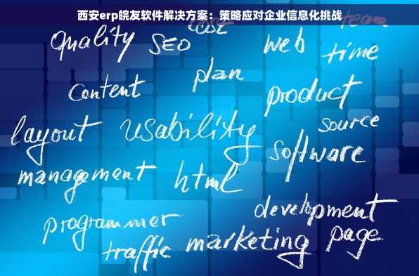 西安erp皖友软件解决方案：策略应对企业信息化挑战