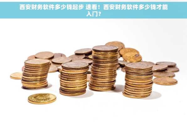 西安财务软件多少钱起步 速看！西安财务软件多少钱才能入门？