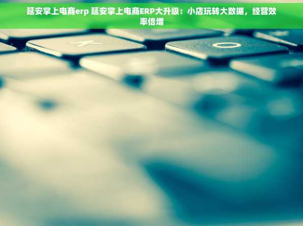 延安掌上电商erp 延安掌上电商ERP大升级：小店玩转大数据，经营效率倍增