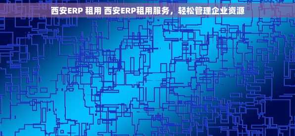 西安ERP 租用 西安ERP租用服务，轻松管理企业资源