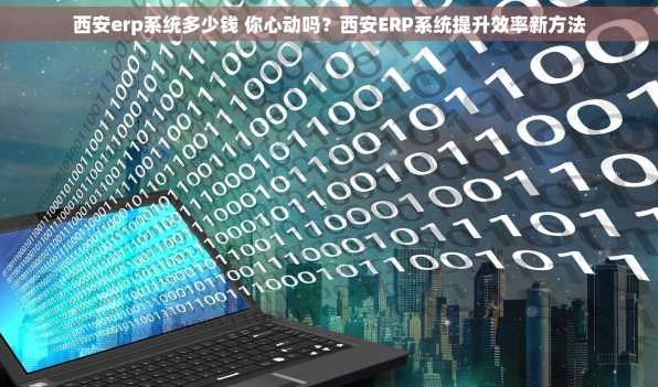 西安erp系统多少钱 你心动吗？西安ERP系统提升效率新方法