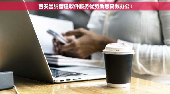 西安出纳管理软件服务优势助您高效办公！