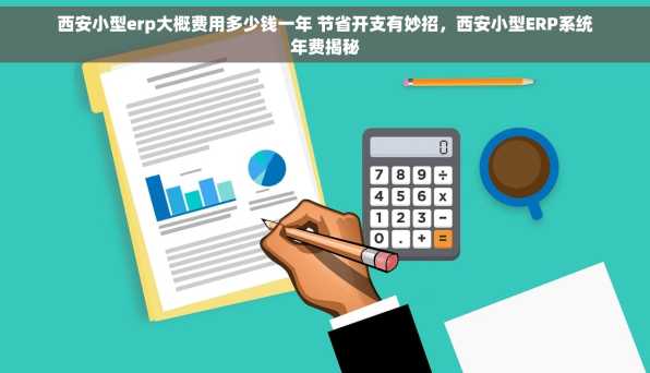 西安小型erp大概费用多少钱一年 节省开支有妙招，西安小型ERP系统年费揭秘