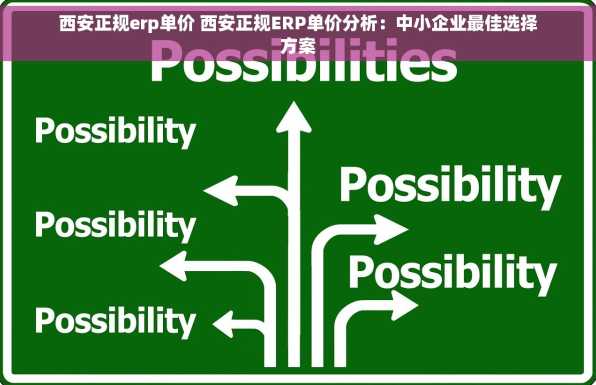 西安正规erp单价 西安正规ERP单价分析：中小企业最佳选择方案