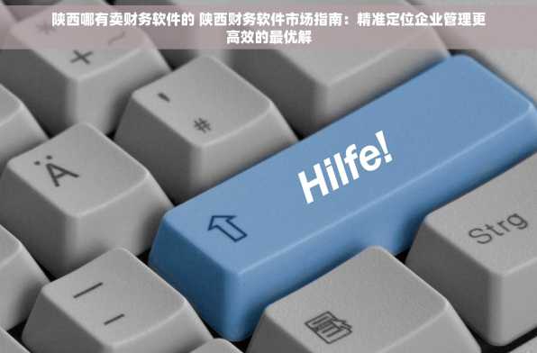 陕西哪有卖财务软件的 陕西财务软件市场指南：精准定位企业管理更高效的最优解