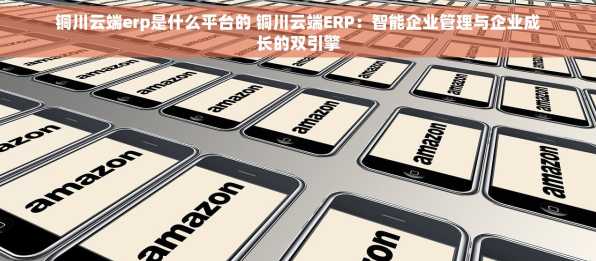 铜川云端erp是什么平台的 铜川云端ERP：智能企业管理与企业成长的双引擎