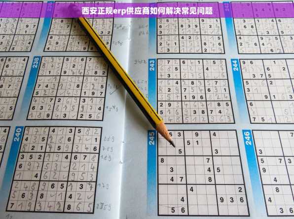 西安正规erp供应商如何解决常见问题