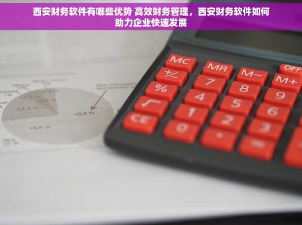 西安财务软件有哪些优势 高效财务管理，西安财务软件如何助力企业快速发展