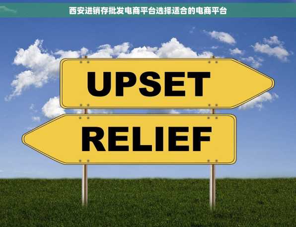 西安进销存批发电商平台选择适合的电商平台