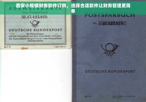 西安小规模财务软件订购，选择合适软件让财务管理更简单