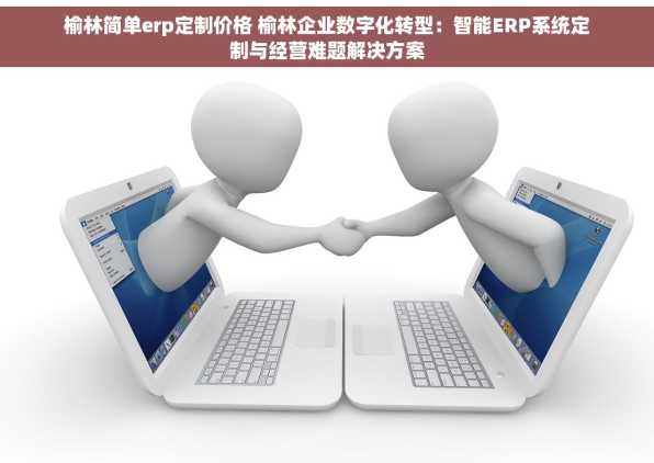 榆林简单erp定制价格 榆林企业数字化转型：智能ERP系统定制与经营难题解决方案