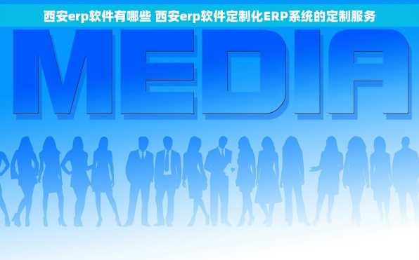 西安erp软件有哪些 西安erp软件定制化ERP系统的定制服务