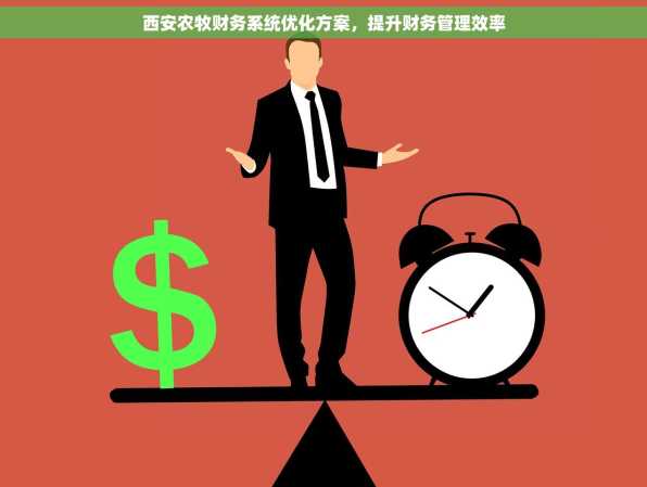 西安农牧财务系统优化方案，提升财务管理效率