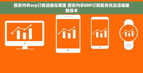 西安内衣erp订做店铺在哪里 西安内衣ERP订制服务优选店铺最新技术