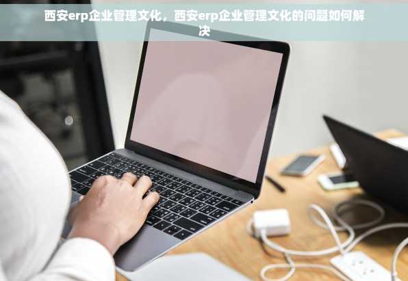 西安erp企业管理文化，西安erp企业管理文化的问题如何解决
