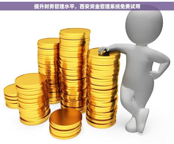 提升财务管理水平，西安资金管理系统免费试用