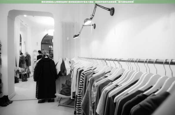 西安定制服装erp有哪些品牌好 西安服装定制ERP系统大揭秘：顶级软件推荐与选择指南，提升定制业务效率