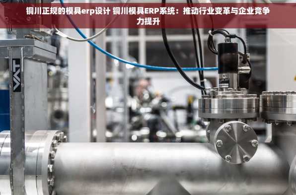 铜川正规的模具erp设计 铜川模具ERP系统：推动行业变革与企业竞争力提升