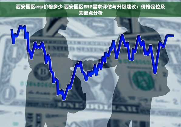 西安园区erp价格多少 西安园区ERP需求评估与升级建议：价格定位及关键点分析