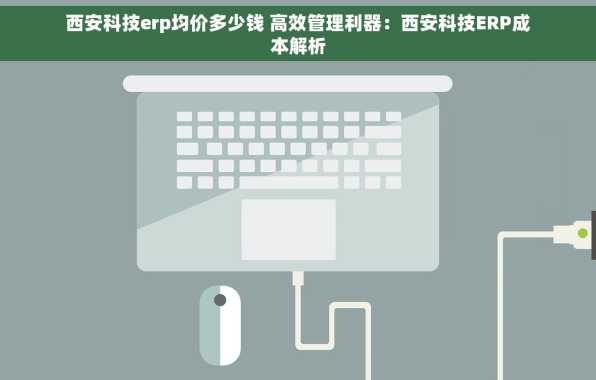 西安科技erp均价多少钱 高效管理利器：西安科技ERP成本解析