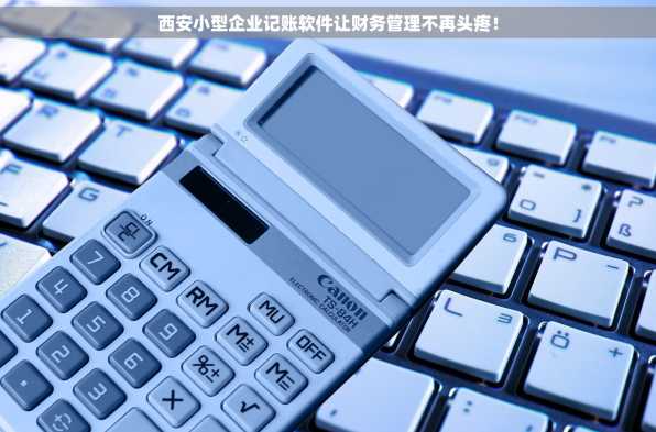 西安小型企业记账软件让财务管理不再头疼！