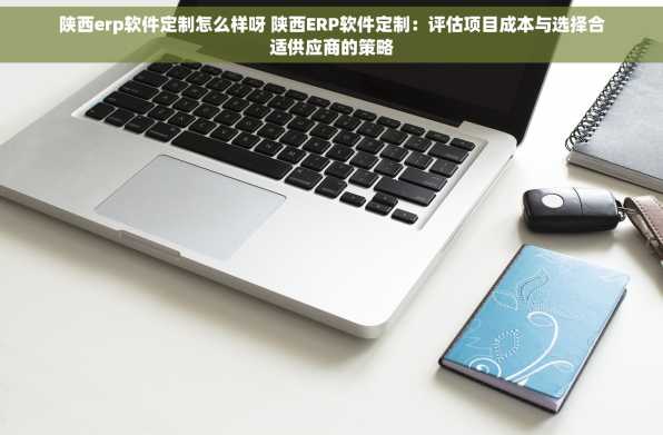 陕西erp软件定制怎么样呀 陕西ERP软件定制：评估项目成本与选择合适供应商的策略
