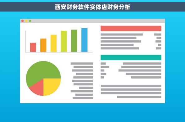 西安财务软件实体店财务分析