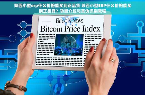 陕西小型erp什么价格能买到正品货 陕西小型ERP什么价格能买到正品货？功能介绍与真伪识别教程