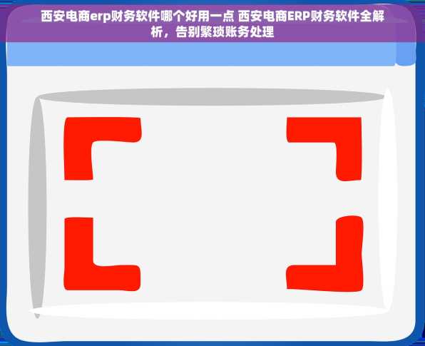 西安电商erp财务软件哪个好用一点 西安电商ERP财务软件全解析，告别繁琐账务处理