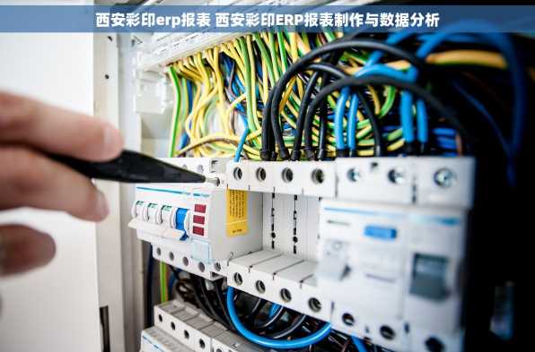 西安彩印erp报表 西安彩印ERP报表制作与数据分析