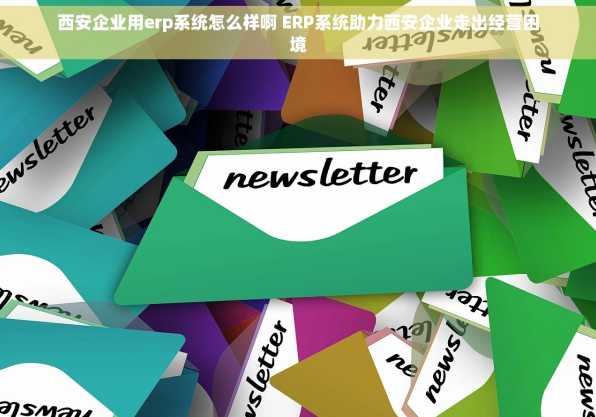 西安企业用erp系统怎么样啊 ERP系统助力西安企业走出经营困境