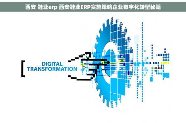 西安 鞋业erp 西安鞋业ERP实施策略企业数字化转型秘籍
