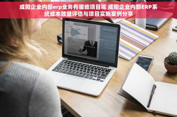 咸阳企业内部erp业务有哪些项目呢 咸阳企业内部ERP系统成本效益评估与项目实施案例分享