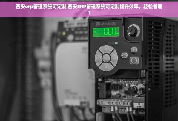 西安erp管理系统可定制 西安ERP管理系统可定制提升效率，轻松管理？