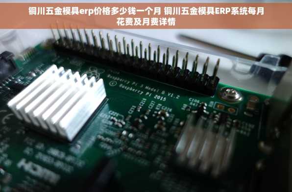 铜川五金模具erp价格多少钱一个月 铜川五金模具ERP系统每月花费及月费详情
