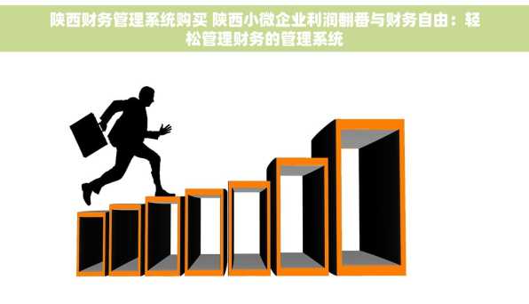 陕西财务管理系统购买 陕西小微企业利润翻番与财务自由：轻松管理财务的管理系统