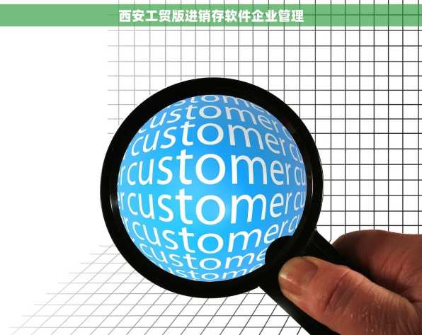 西安工贸版进销存软件企业管理
