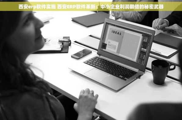 西安erp软件实施 西安ERP软件革新：中小企业利润翻倍的秘密武器