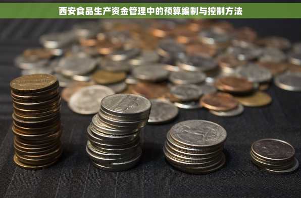 西安食品生产资金管理中的预算编制与控制方法