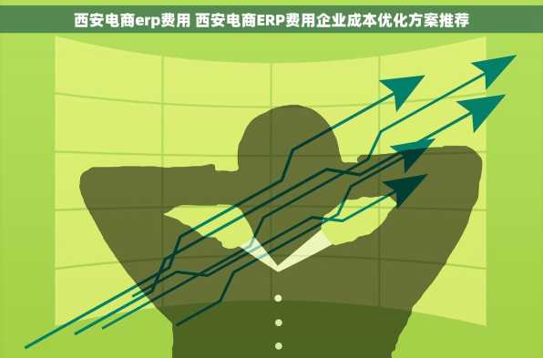 西安电商erp费用 西安电商ERP费用企业成本优化方案推荐